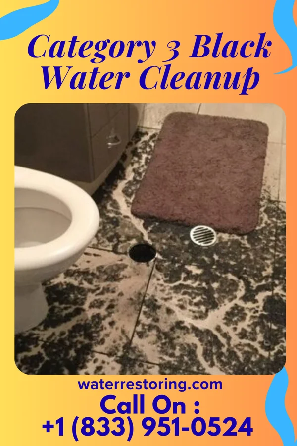 Category 3 Black Water Cleanup in Pana, IL