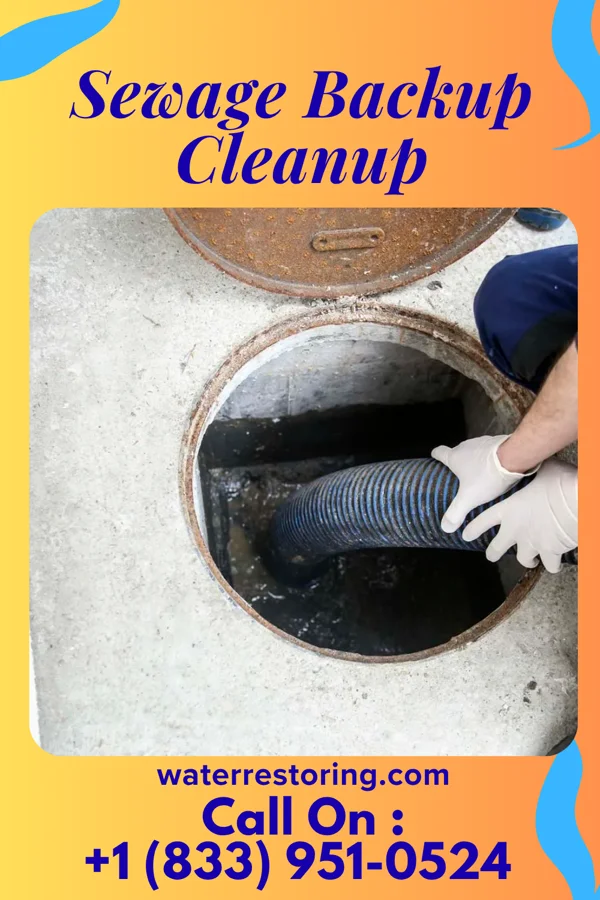 Sewage Backup Cleanup in Pana, IL